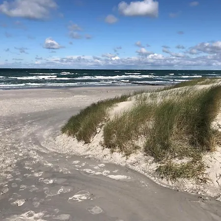 Arne - Auf Hiddensee