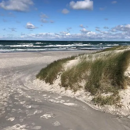Arne - Hiddensee